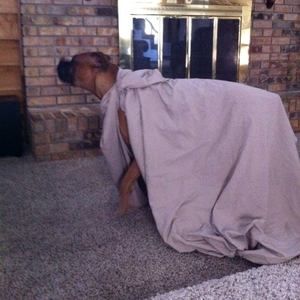 Meet your Posher, Evan